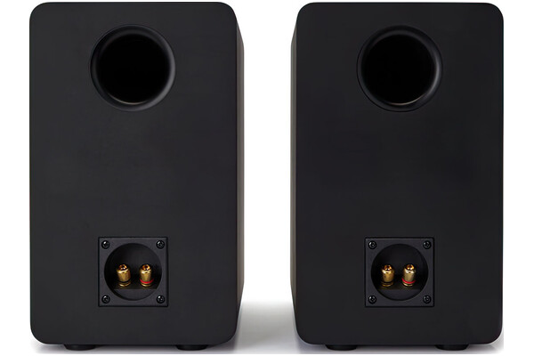 Kolumny Aiwa SP-A100 50W, 2szt., czarny