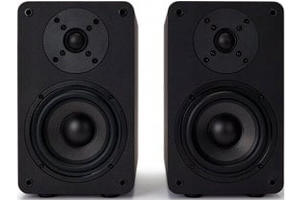 Kolumna Aiwa SP-A100 , 1szt., czarny