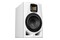Kolumna ADAM Audio A7V , 1szt.,
