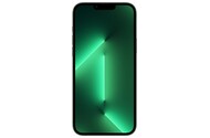 Smartfon Apple iPhone 13 Pro Max 5G alpejska zieleń 6.70" 1000.0GB