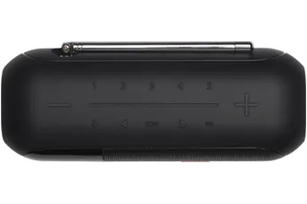 głośnik Bluetooth JBL Tuner 2 czarny