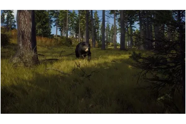 Way of the Hunter PC