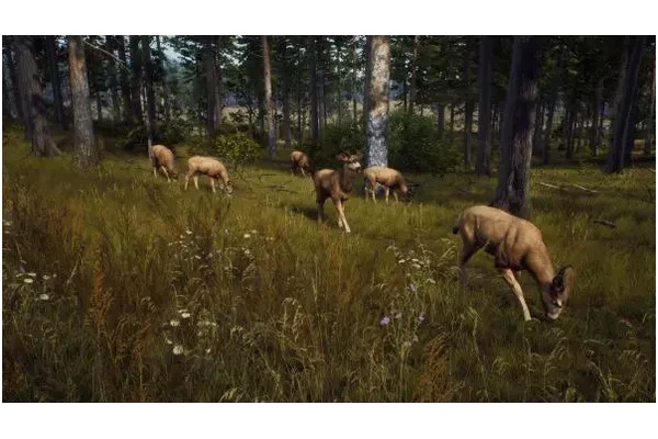 Way of the Hunter PC