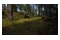 Way of the Hunter PC