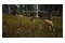 Way of the Hunter PC