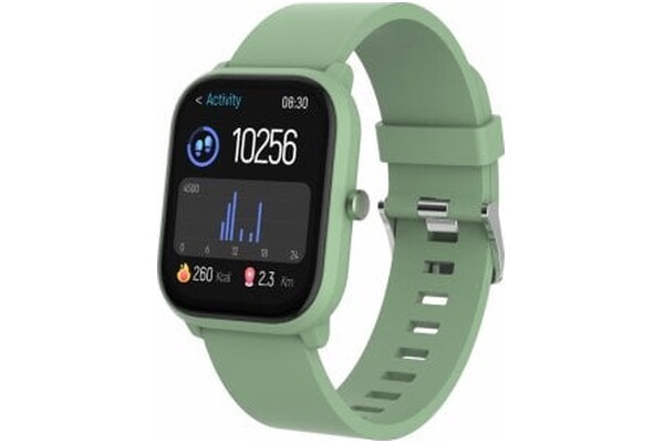 Smartwatch Denver SWK120GN