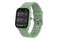Smartwatch Denver SWK120GN