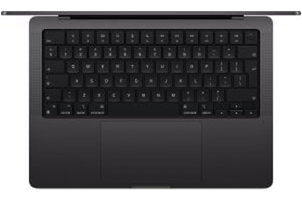 Laptop Apple MacBook Pro 14.2" Apple M4 M4 (10 rdz.) 16GB 1TB SSD M.2 macOS czarny