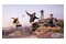 Tony Hawks Pro Skater 3+4 NINTENO 2 Nintendo Switch