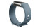 Smartwatch FITBIT Charge 1.04" niebieski