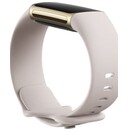 Smartwatch FITBIT Charge