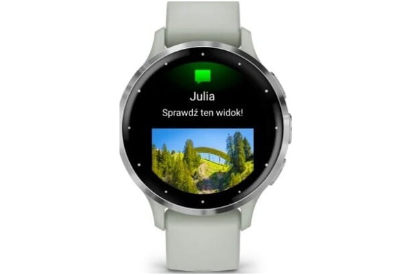 Smartwatch Garmin Venu 3S 1.40" szary
