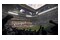 EA Sports FC 26 Nintendo Switch