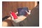 Powerbank GoGEN PB100008R 10000mAh 20.0W czerwony