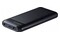 Powerbank Adata C100 10000mAh 20.0W czarny