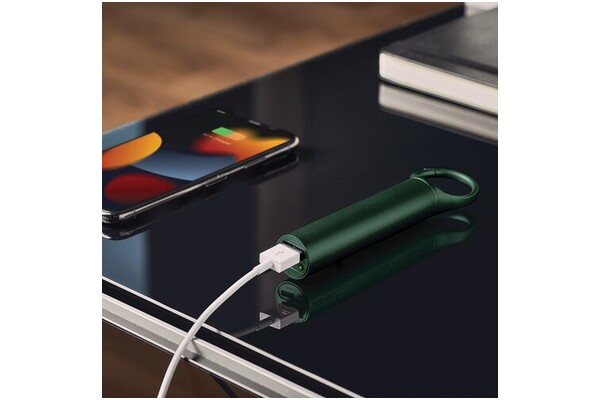 Powerbank LEXON LL138DG1 Nomaday 3000mAh 5.0W zielony