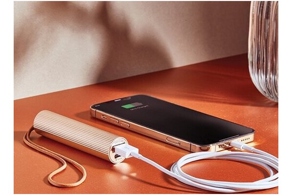 Powerbank LEXON LL130D Fine Tube 2 3000mAh 5.0W złoty