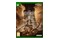 Little Nightmares III Mirror Edition Xbox (Series X)