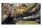 Wild Hearts S Nintendo Switch