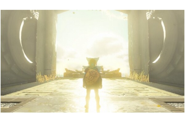 The Legend of Zelda Tears of the Kingdom (NS) Nintendo Switch