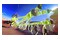 Splatoon 3 + Season Pass + NSO 3month Nintendo Switch