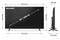 Telewizor Sharp 43HE2 43" Full HD