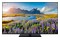 Telewizor Panasonic TV55W85B 55" 4K Ultra HD