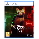 Stray PlayStation 5