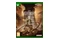 Little Nightmares III Edycja Mirror Xbox (One/Series X)