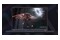 Laptop GIGABYTE Aorus 16X 16.0" Intel Intel Core i7-13650HX 13650HX NVIDIA GeForce RTX 4060 16GB 1TB SSD M.2 Windows 11 Home szary
