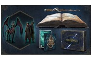 Dziedzictwo Hogwartu (Hogwarts Legacy) Edycja Kolekcjonerska PlayStation 4