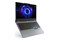 Laptop Lenovo LOQ 15 15.6" Intel Core i5 13450HX Nvidia GeForce RTX 5060 16GB 512GB SSD szary