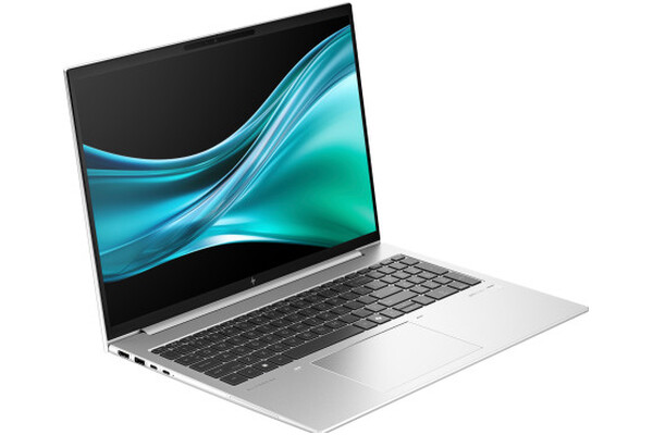 Laptop HP EliteBook 865 16.0" AMD Ryzen 5 8540U AMD Radeon 740M 32GB 1TB SSD Windows 11 Professional srebrny