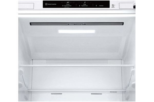 Lodówka LG GBV3100ESW
