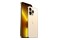 Smartfon Apple iPhone 13 Pro Max 5G złoty 6.70" 256.0GB