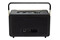 głośnik Bluetooth JBL AUTHENTICS 300 czarno-złoty