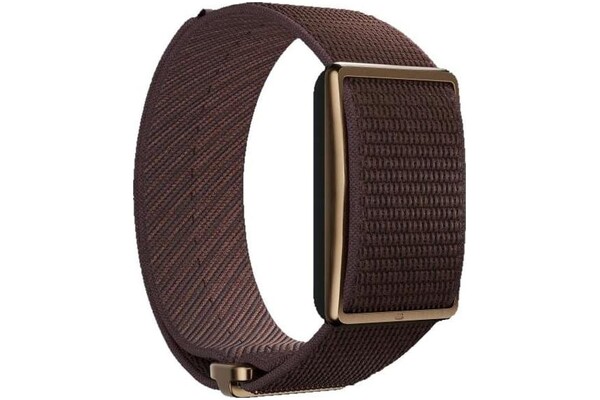 Smartwatch Polar Loop