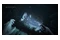 Vampire The Masquerade Bloodlines 2 Edycja Day One Xbox (Series X)