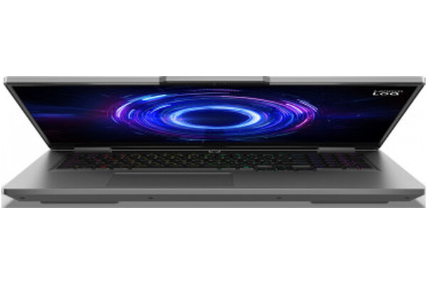 Laptop Lenovo LOQ 17 17.3" Intel Core i5 13450HX NVIDIA GeForce RTX 5050 16GB 1TB SSD Windows 11 Home szary