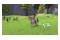 Barbie Horse Trails PlayStation 5