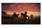 Elden Ring Xbox (Series X)