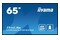 Monitor 64.5" IIYAMA LH6560UHS-B2AG czarny