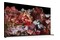 Telewizor Sony XR65X95L 65" 4K Ultra HD