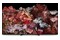 Telewizor Sony XR65X95L 65" 4K Ultra HD