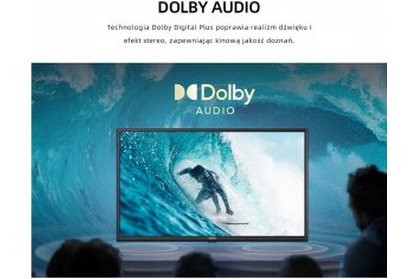 Telewizor CHIQ L24G5W 24" HD Ready