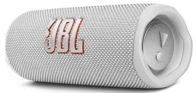 JBL Flip 6